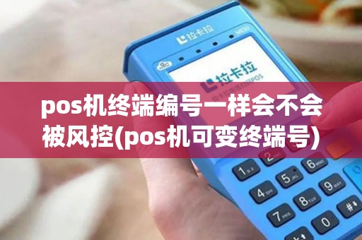 pos机终端编号一样会不会被风控(pos机可变终端号)