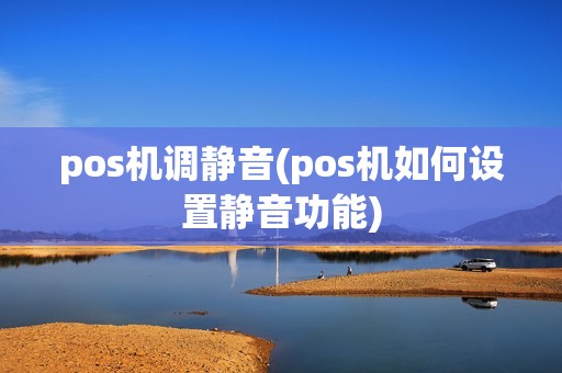 pos机调静音(pos机如何设置静音功能)