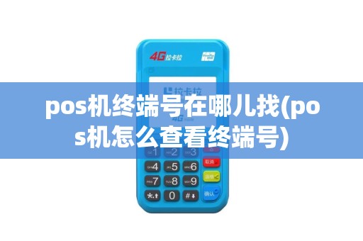 pos机终端号在哪儿找(pos机怎么查看终端号)