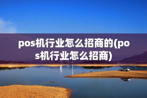 pos机行业怎么招商的(pos机行业怎么招商)