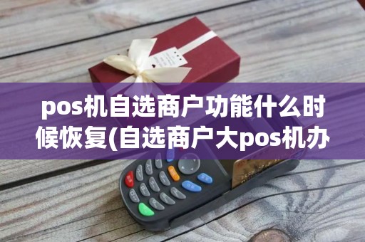 pos机自选商户功能什么时候恢复(自选商户大pos机办理)