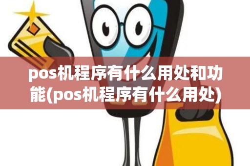 pos机程序有什么用处和功能(pos机程序有什么用处)