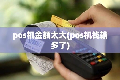 pos机金额太大(pos机钱输多了)