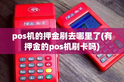 pos机的押金刷去哪里了(有押金的pos机刷卡吗)