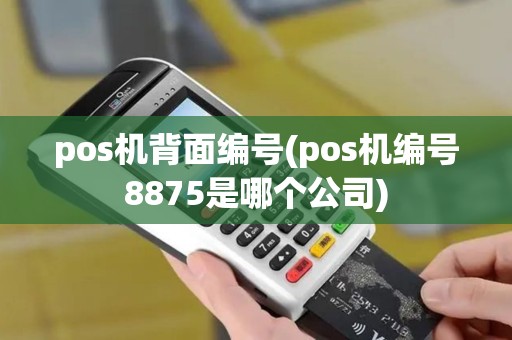 pos机背面编号(pos机编号8875是哪个公司)