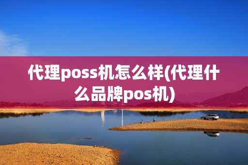 代理poss机怎么样(代理什么品牌pos机)