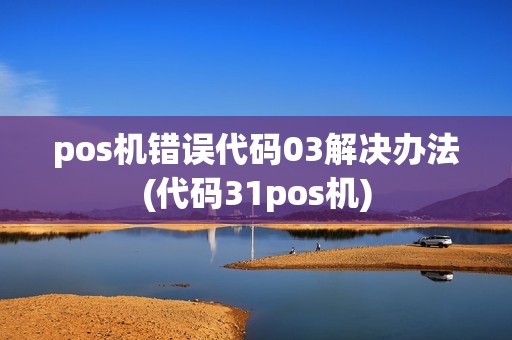 pos机错误代码03解决办法(代码31pos机)