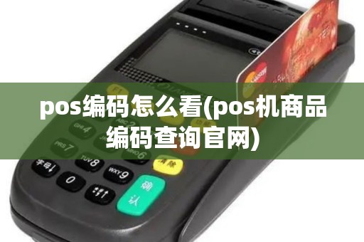 pos编码怎么看(pos机商品编码查询官网)