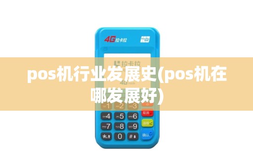 pos机行业发展史(pos机在哪发展好)
