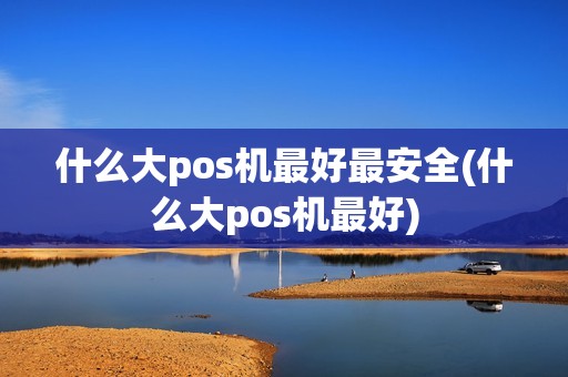 什么大pos机最好最安全(什么大pos机最好)