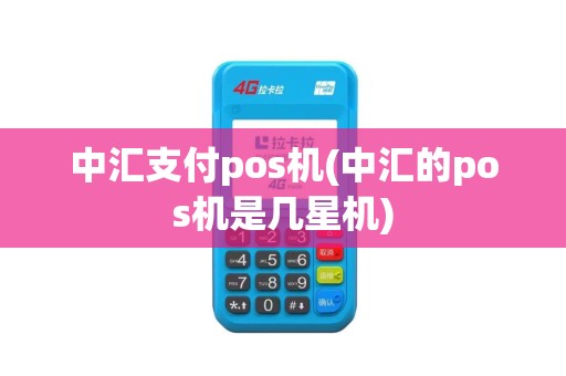 中汇支付pos机(中汇的pos机是几星机)