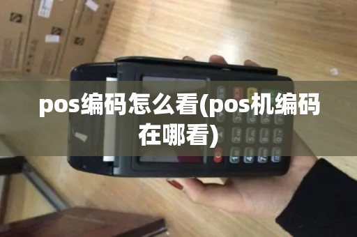 pos编码怎么看(pos机编码在哪看)
