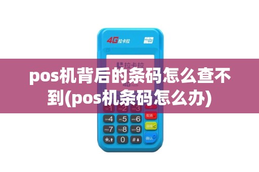 pos机背后的条码怎么查不到(pos机条码怎么办)
