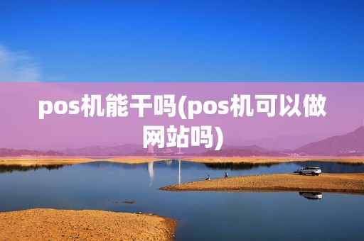 pos机能干吗(pos机可以做网站吗)