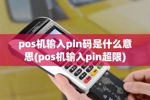 pos机输入pin码是什么意思(pos机输入pin超限)