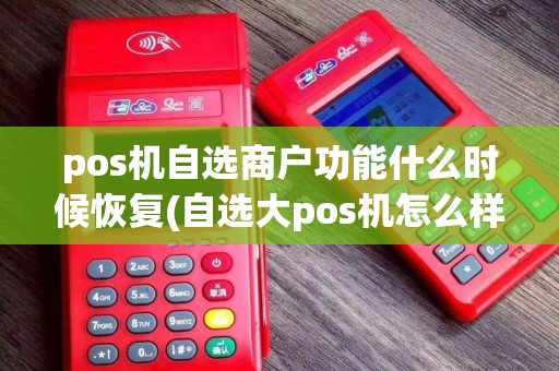 pos机自选商户功能什么时候恢复(自选大pos机怎么样)