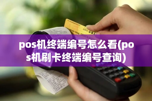 pos机终端编号怎么看(pos机刷卡终端编号查询)