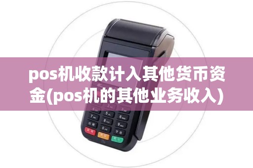 pos机收款计入其他货币资金(pos机的其他业务收入)