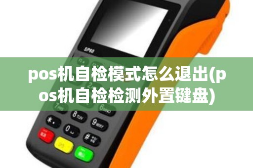 pos机自检模式怎么退出(pos机自检检测外置键盘)