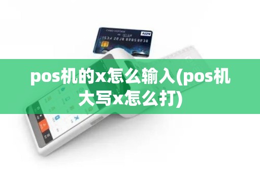 pos机的x怎么输入(pos机大写x怎么打)