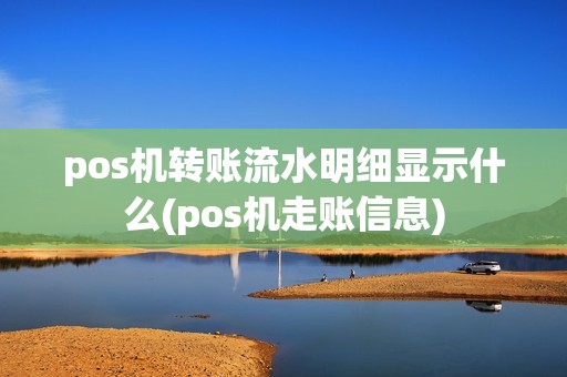 pos机转账流水明细显示什么(pos机走账信息)
