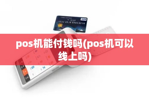 pos机能付钱吗(pos机可以线上吗)