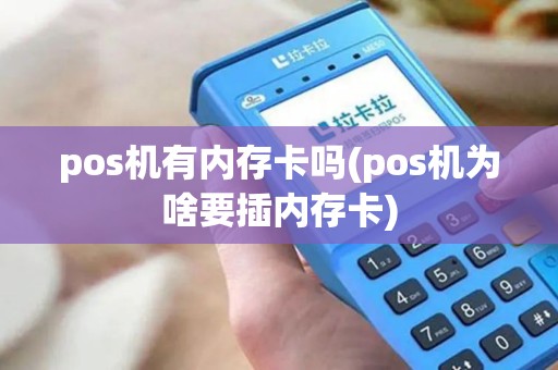 pos机有内存卡吗(pos机为啥要插内存卡)