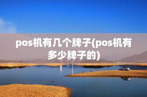 pos机有几个牌子(pos机有多少牌子的)