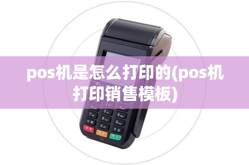 pos机是怎么打印的(pos机打印销售模板)