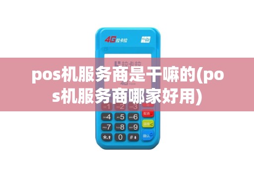 pos机服务商是干嘛的(pos机服务商哪家好用)