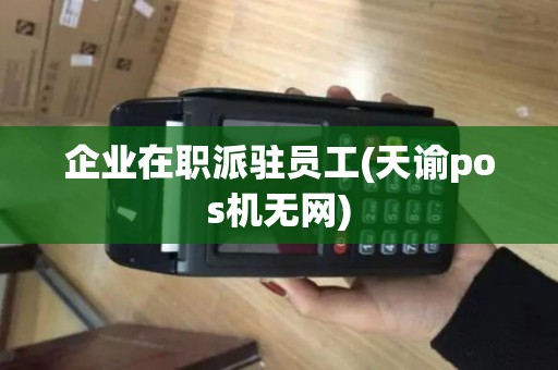 企业在职派驻员工(天谕pos机无网)