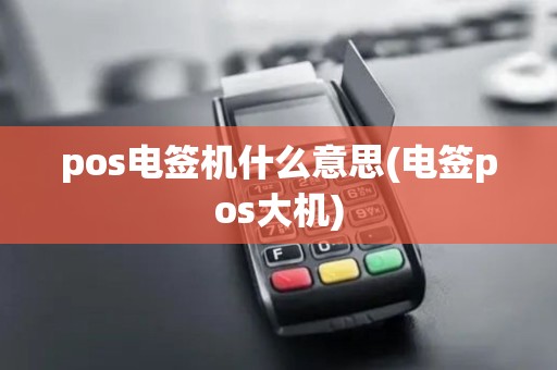 pos电签机什么意思(电签pos大机)
