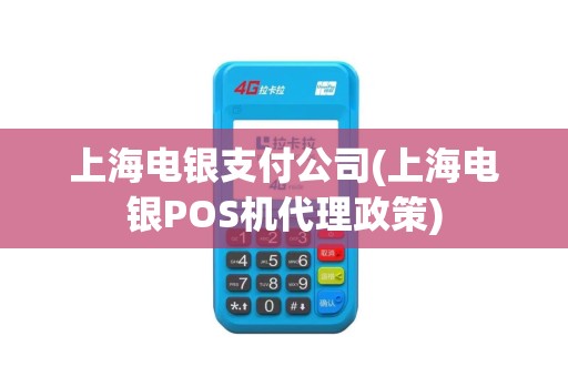 上海电银支付公司(上海电银POS机代理政策)