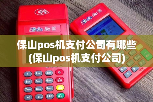 保山pos机支付公司有哪些(保山pos机支付公司) 保山pos机支付公司有哪些(保山pos机支付公司)