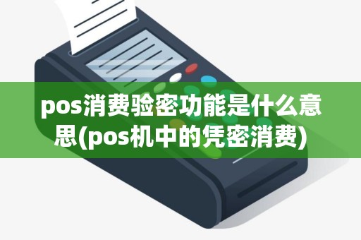 pos消费验密功能是什么意思(pos机中的凭密消费)