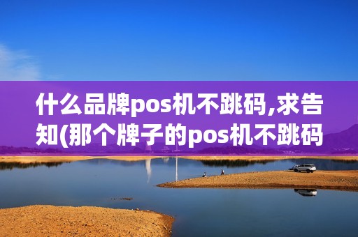 什么品牌pos机不跳码,求告知(那个牌子的pos机不跳码)