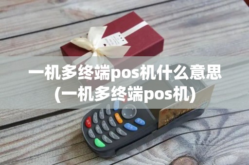 一机多终端pos机什么意思(一机多终端pos机)