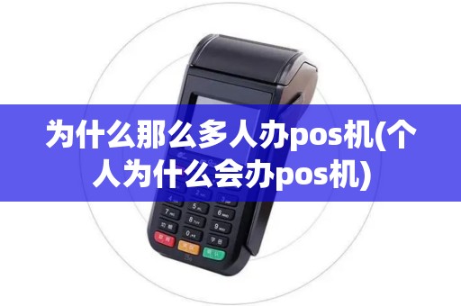 为什么那么多人办pos机(个人为什么会办pos机)