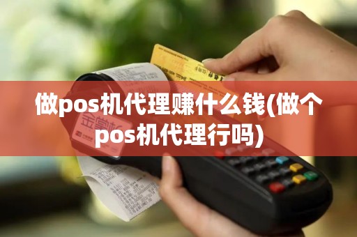 做pos机代理赚什么钱(做个pos机代理行吗)