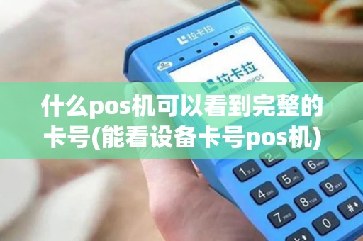 什么pos机可以看到完整的卡号(能看设备卡号pos机)