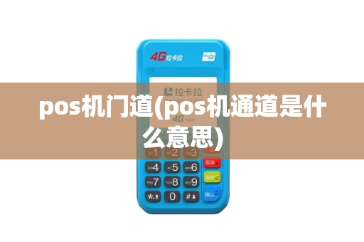 pos机门道(pos机通道是什么意思)