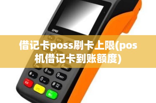 借记卡poss刷卡上限(pos机借记卡到账额度)