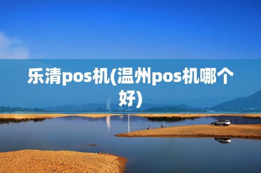 乐清pos机(温州pos机哪个好)
