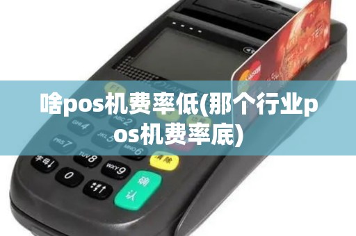 啥pos机费率低(那个行业pos机费率底)