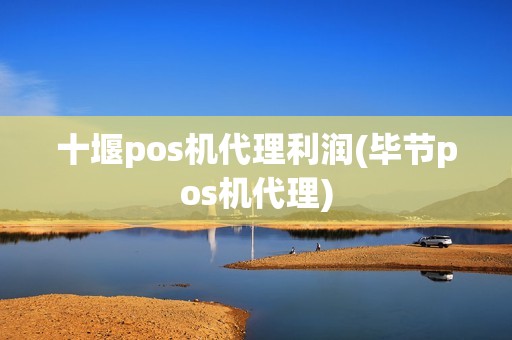十堰pos机代理利润(毕节pos机代理)