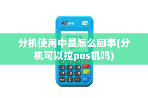 分机使用中是怎么回事(分机可以拉pos机吗)