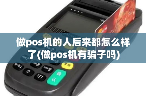做pos机的人后来都怎么样了(做pos机有骗子吗)