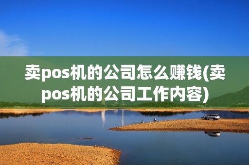 卖pos机的公司怎么赚钱(卖pos机的公司工作内容)