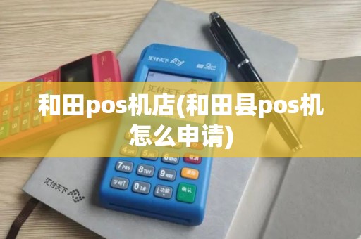 和田pos机店(和田县pos机怎么申请)