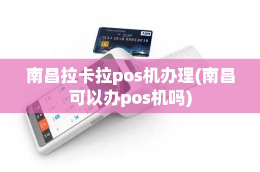 南昌拉卡拉pos机办理(南昌可以办pos机吗)